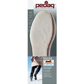 Pedag Pascha  Art. 130